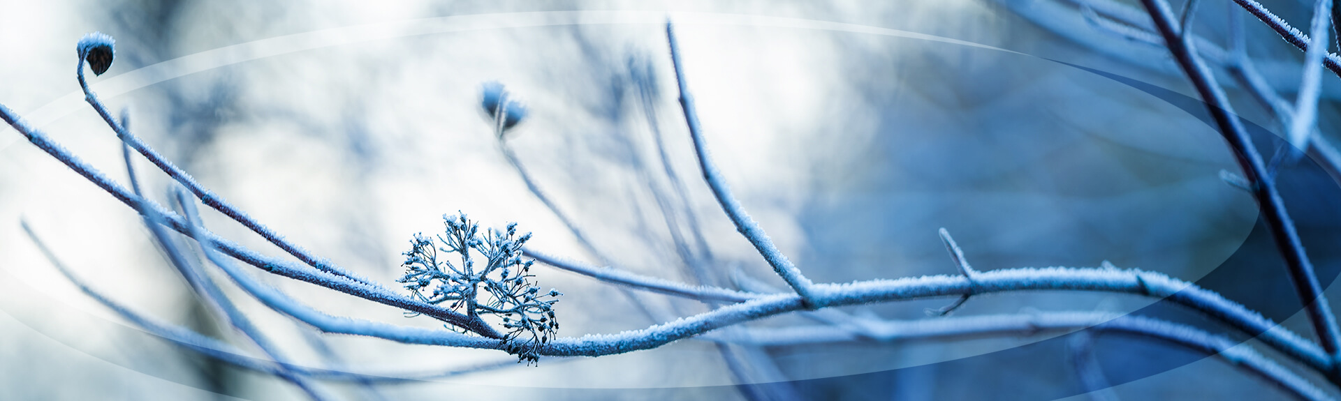 MB_Slider-Winter-1.jpg