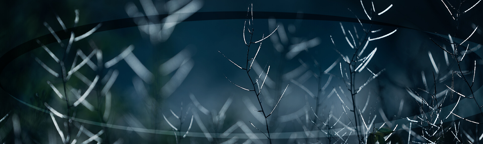 MB_Slider-Winter-2